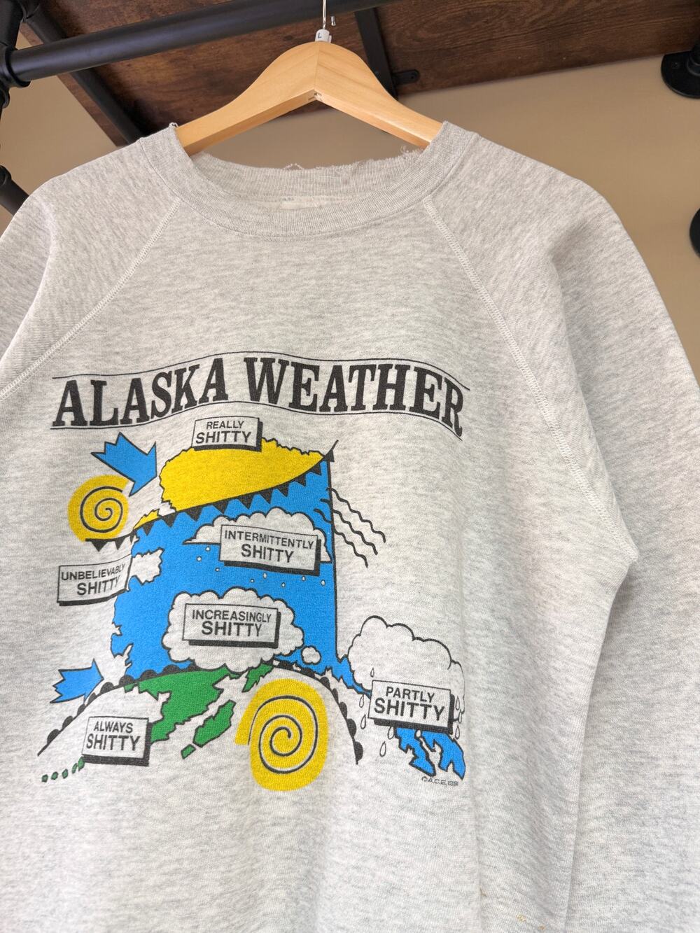 1991 Alaska Weather Forecast 90s Vintage Hanes Crewneck Sweatshirt Jerzees